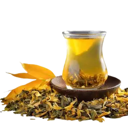 Tilia